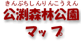 Xь}bv